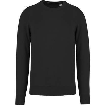 Image produit Pull écoresponsable col rond homme