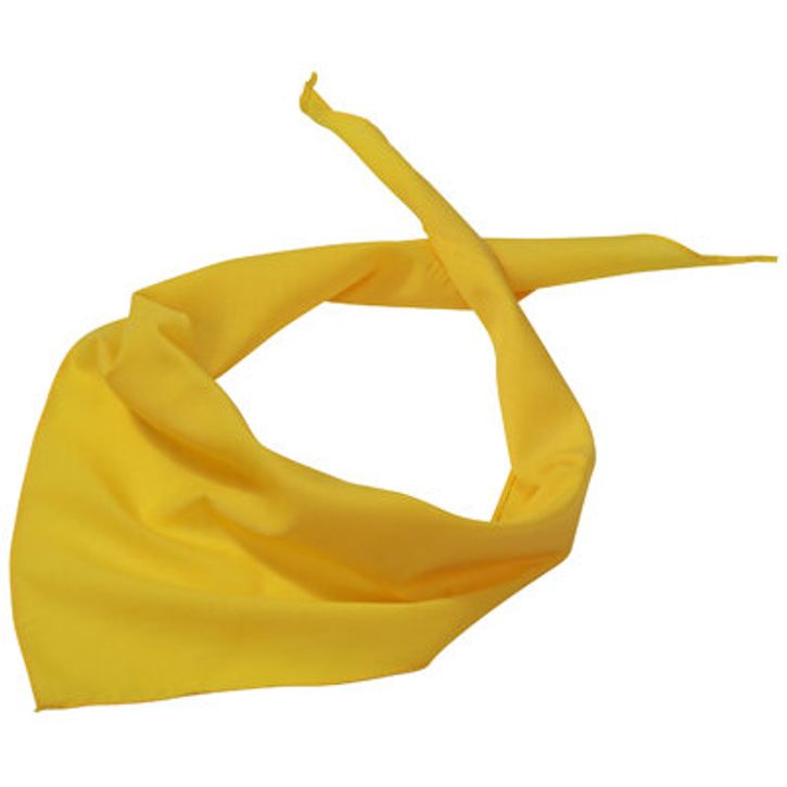 Image produit Triangular Scarf