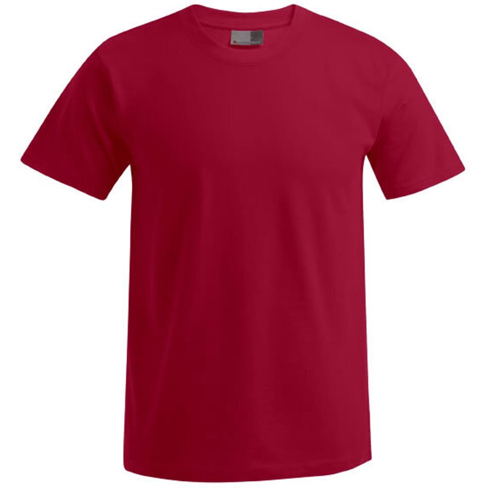 Men´s Premium-T