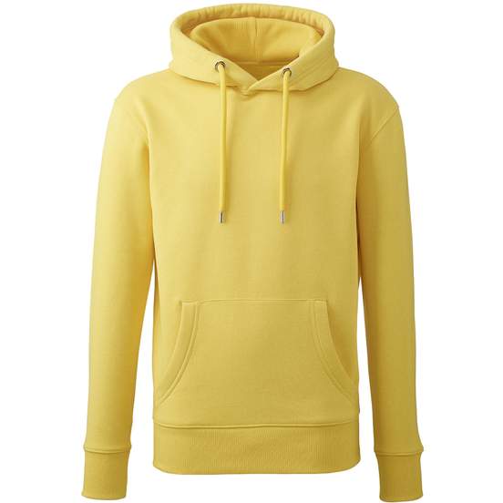 Sweat à capuche Anthem pour homme