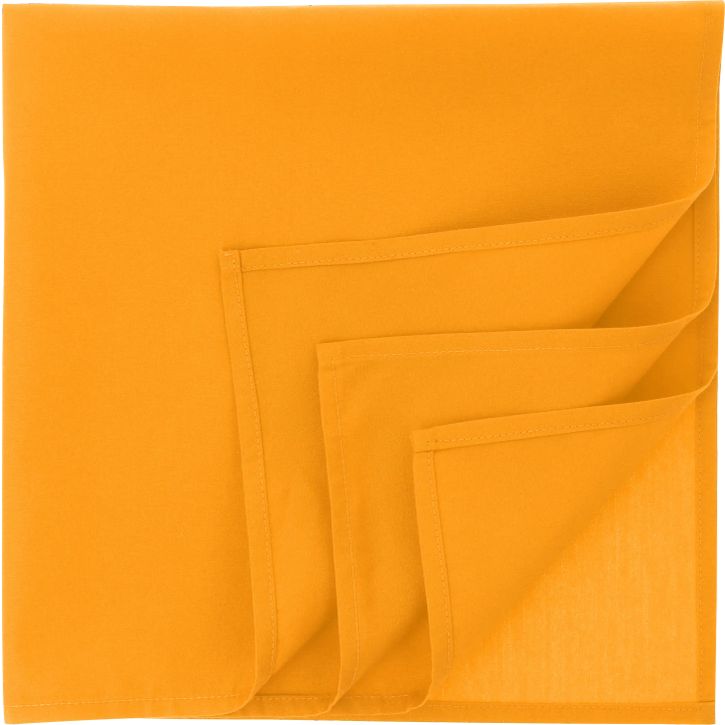 Image produit BANDANA GOAL-S