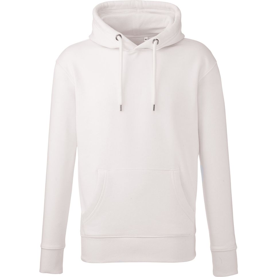 Sweat à capuche Anthem pour homme