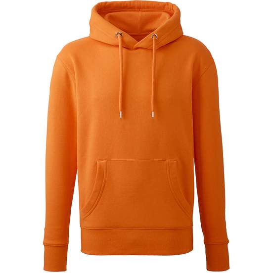 Sweat à capuche Anthem pour homme