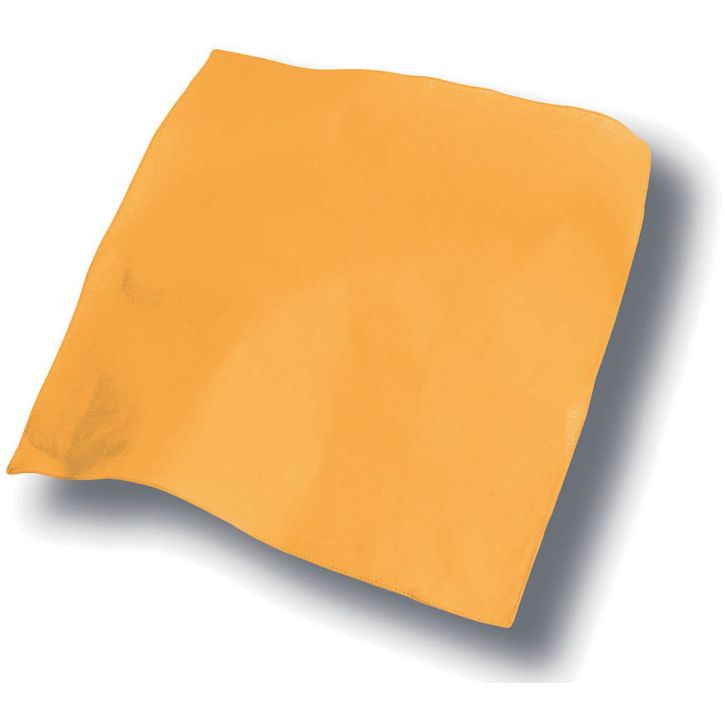 Image produit Bandana Goal