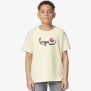 Heavy Cotton Youth T-Shirt