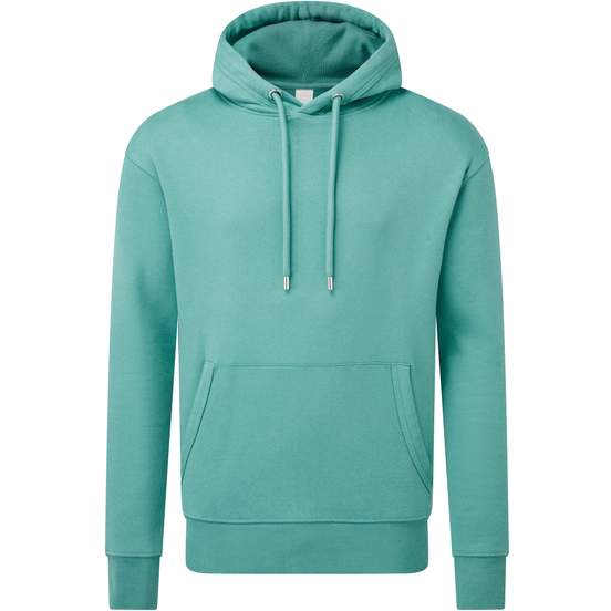 Sweat à capuche Anthem pour homme